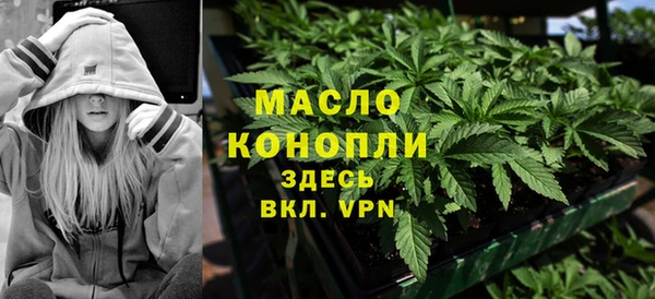 индика Абдулино