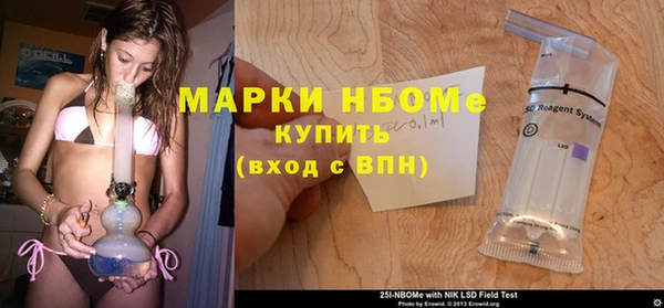 индика Абдулино