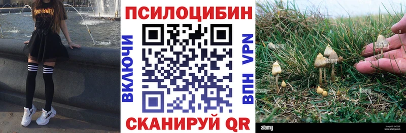 Галлюциногенные грибы прущие грибы  Орск 
